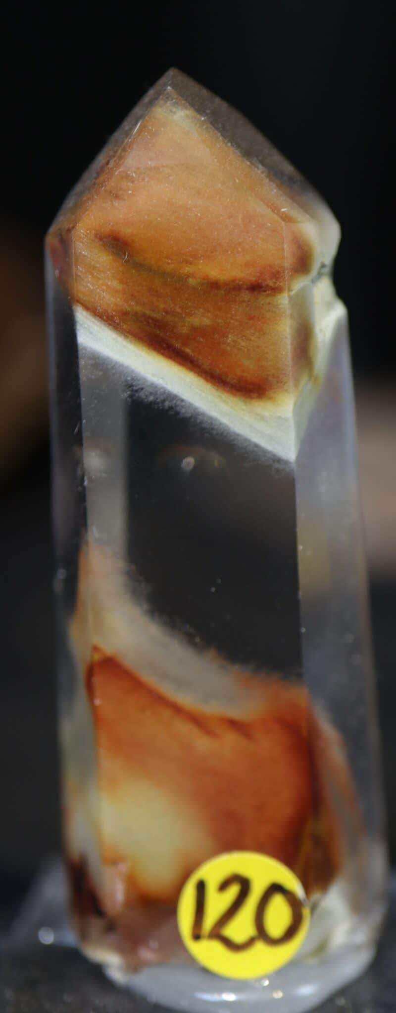 Amphibole dans quartz