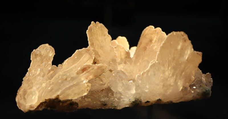 Quartz Calcédoine