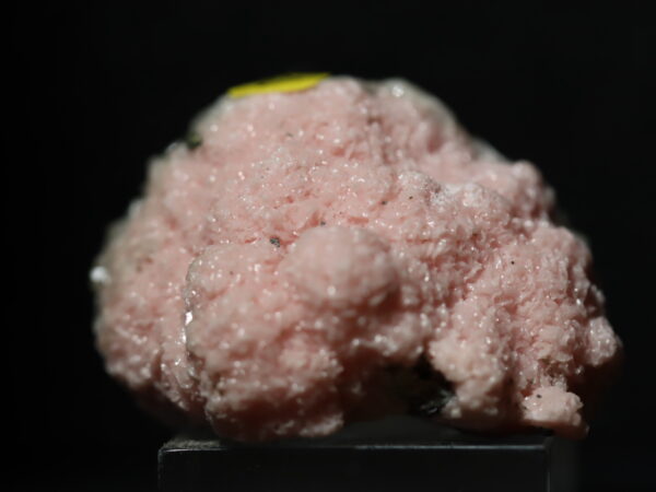 Rhodocrosite botryoidale