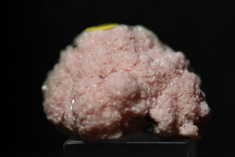 Rhodocrosite botryoidale