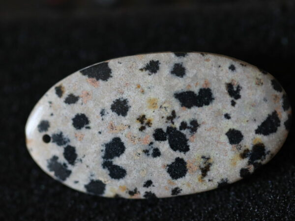 Jaspe dalmatien oval