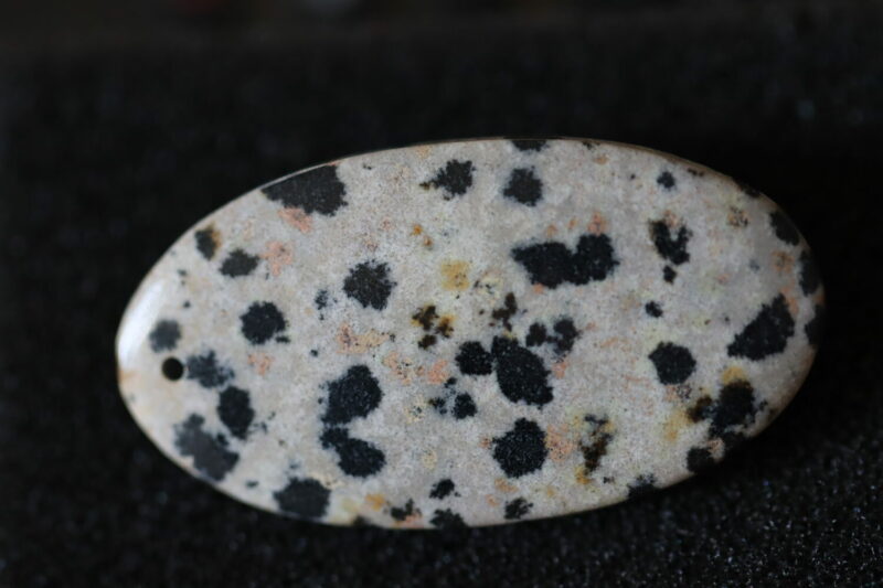 Jaspe dalmatien oval