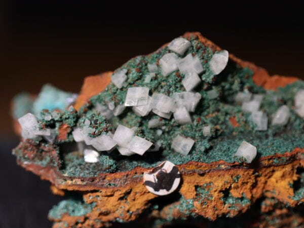 Conichalcite et calcite