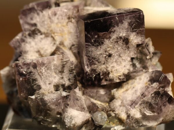 Fluorite violette Durham