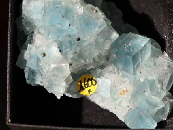 Fluorite bleue du Tarn