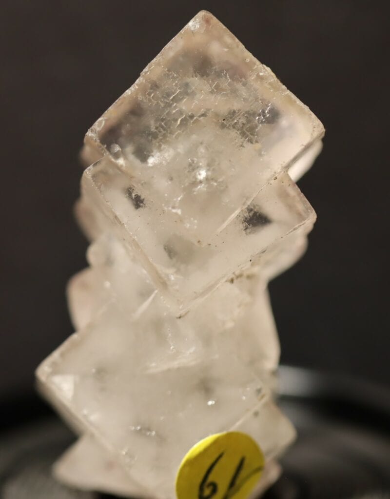 Fluorite Fonsante n19