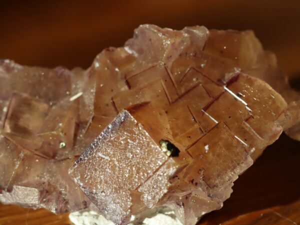 Fluorite Fonsante n31