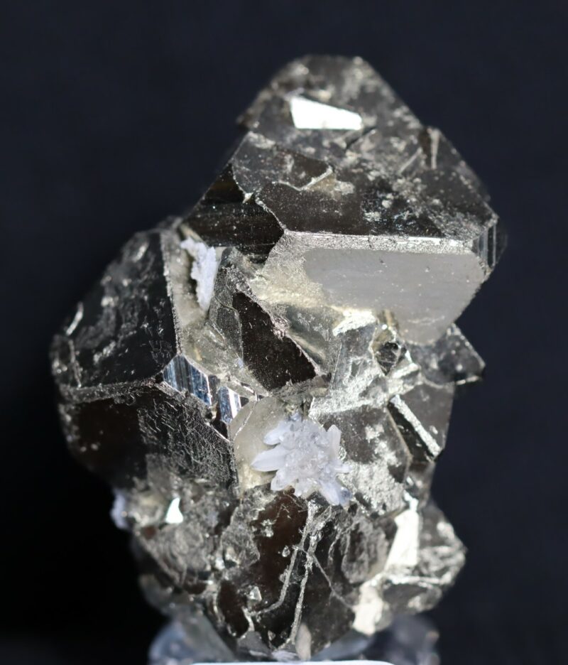 Pyrite octaèdre et Quartz