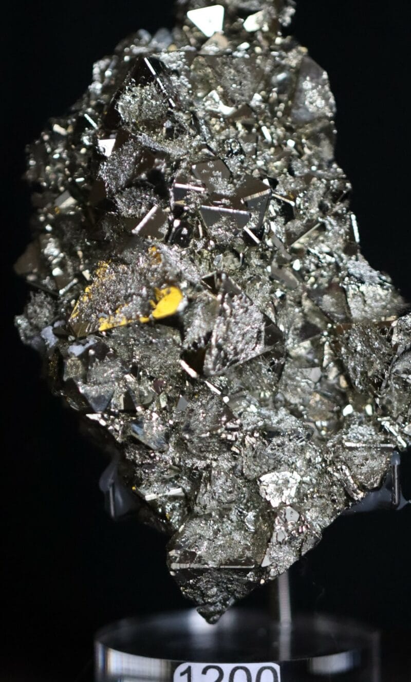 Pyrite octaèdre plaque