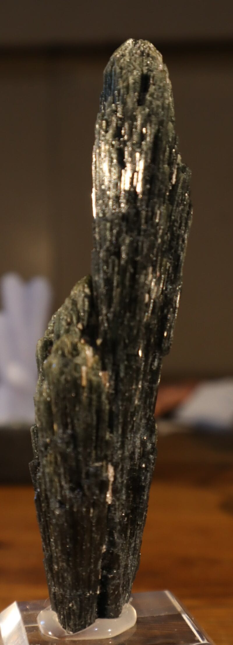 Tourmaline bleue vasoura