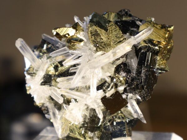 Chalcopyrite Pyrite Quartz