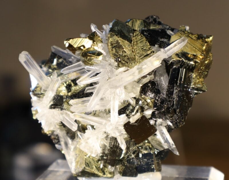 Chalcopyrite Pyrite Quartz