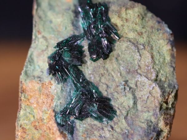 Atacamite Chili