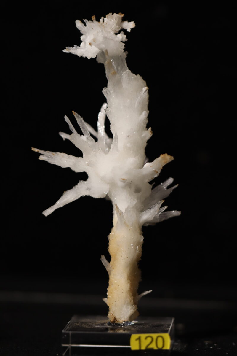 Aragonite Viane n3