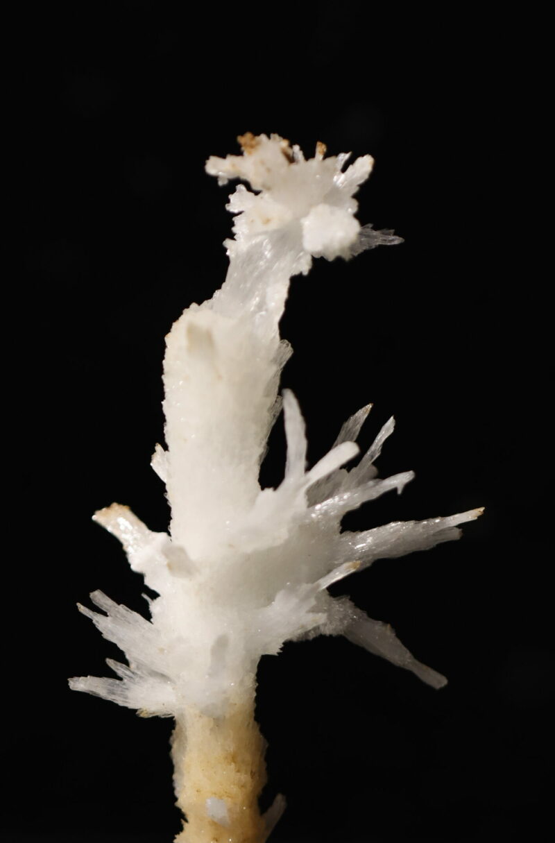 Aragonite Viane n3