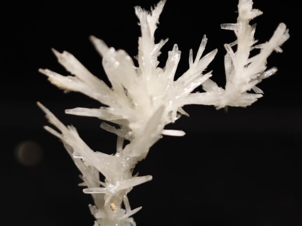 Aragonite Viane n11