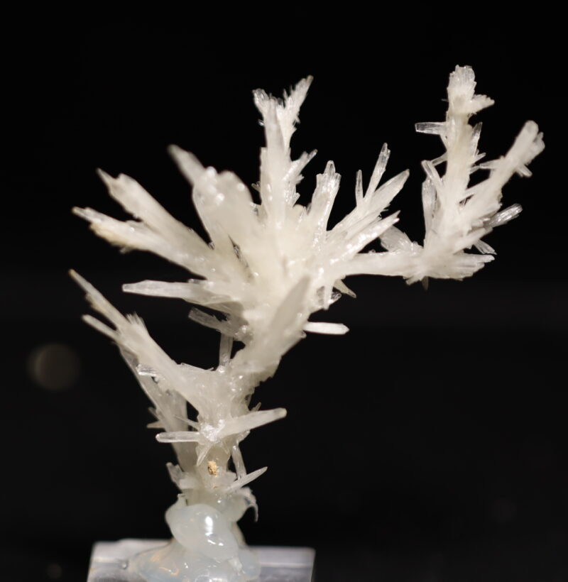 Aragonite Viane n11