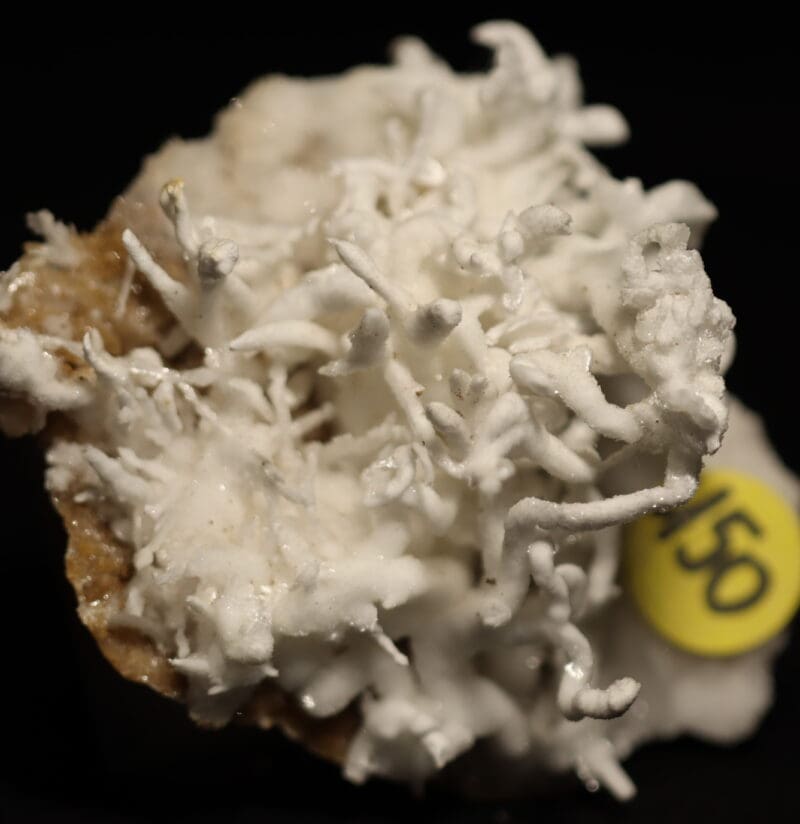 Aragonite Viane n8