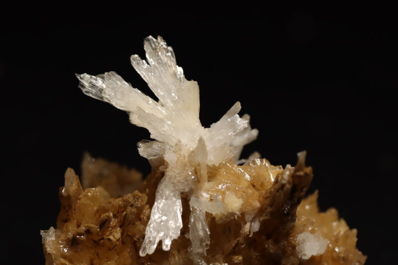 Aragonite Viane n13