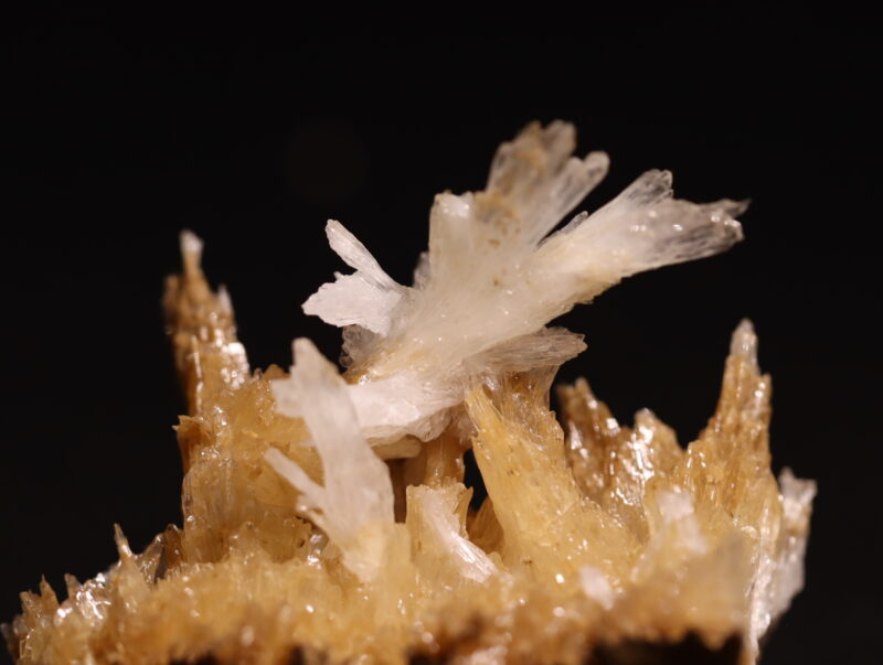 Aragonite Viane n13