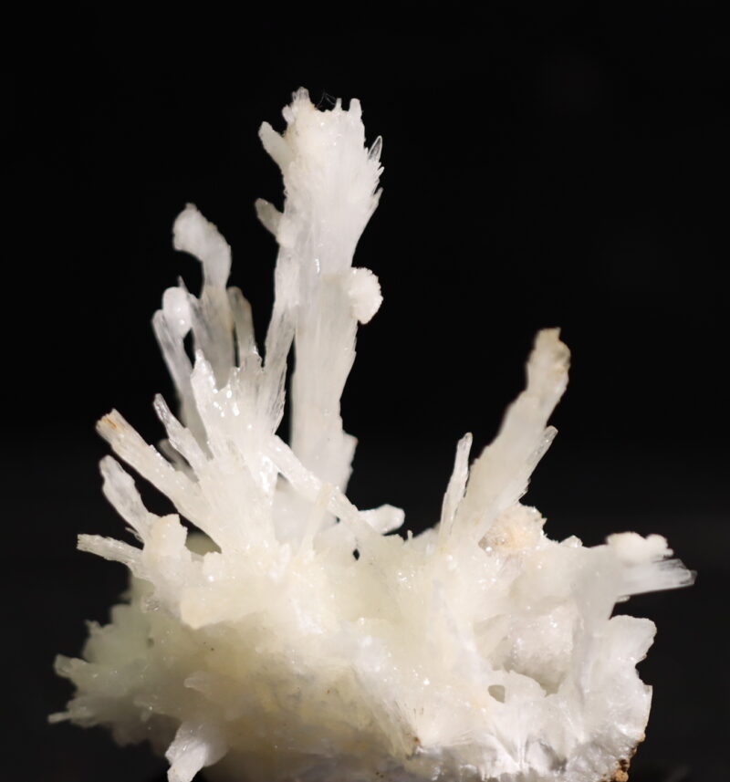 Aragonite Viane n9