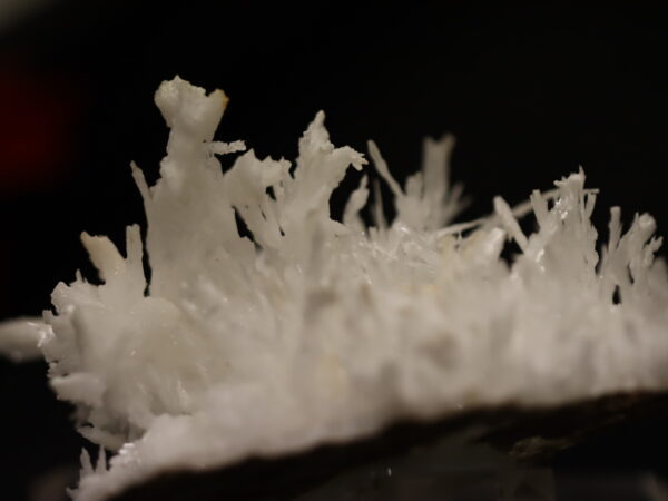 Aragonite Viane n16