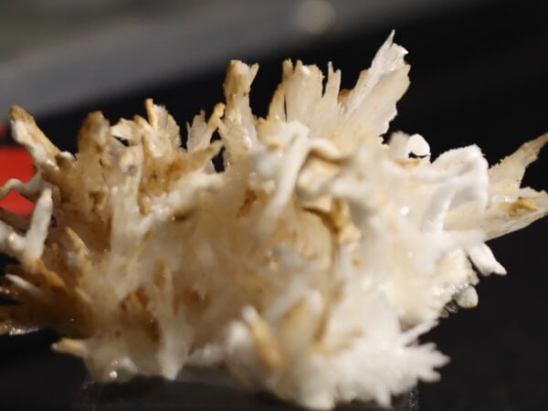 Aragonite Viane n15