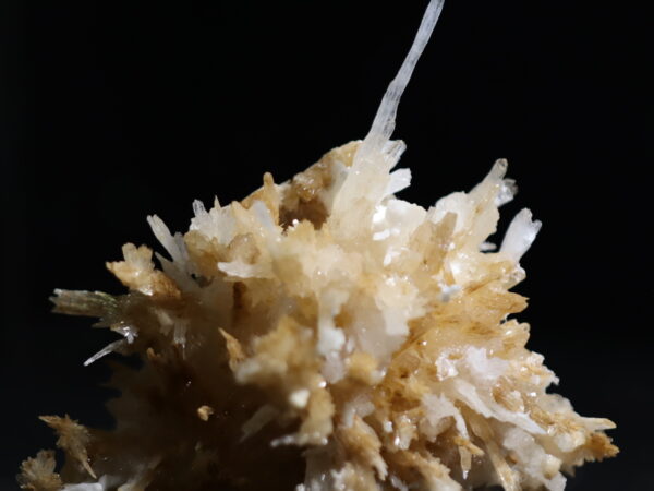 Aragonite Viane n14