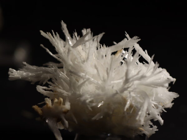 Aragonite Viane n17