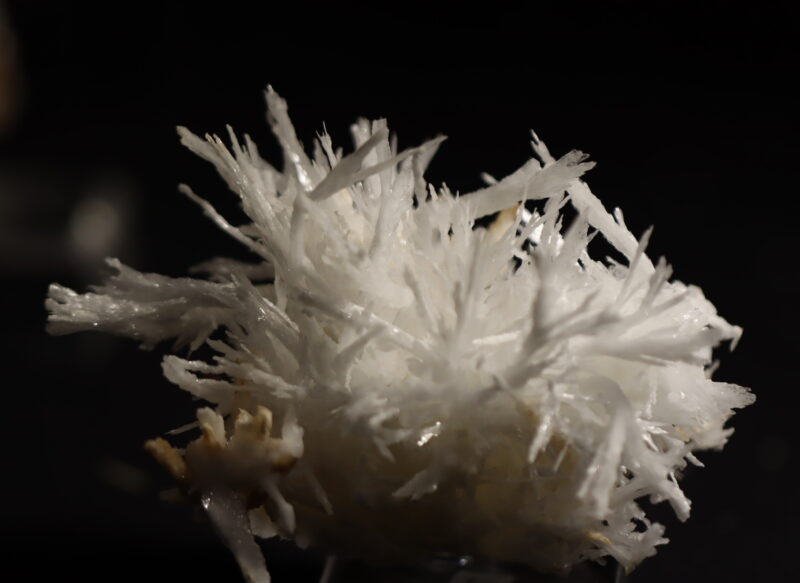 Aragonite Viane n17