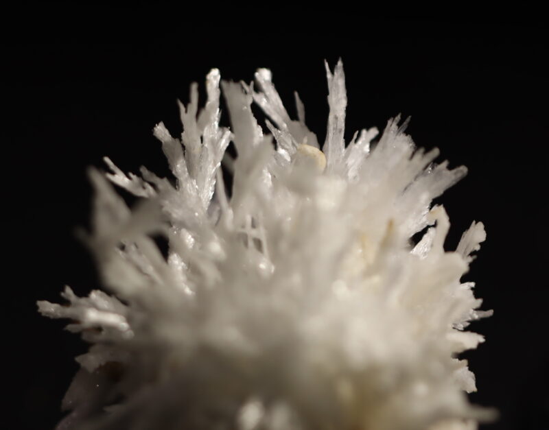 Aragonite Viane n17