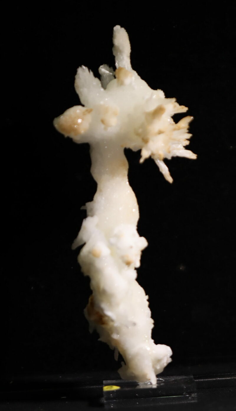 Aragonite Viane n18