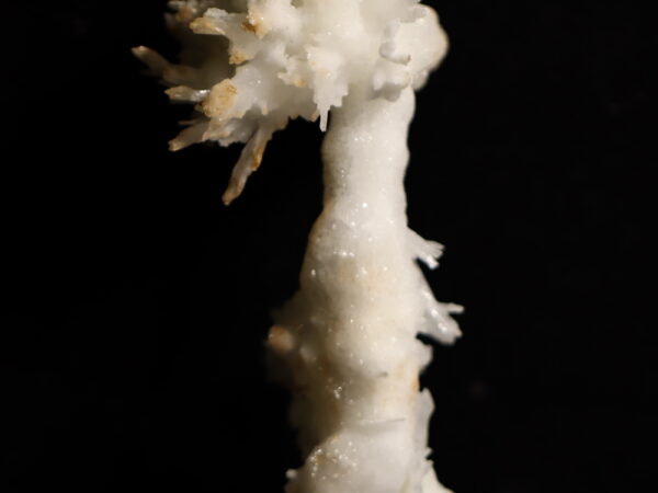 Aragonite Viane n18