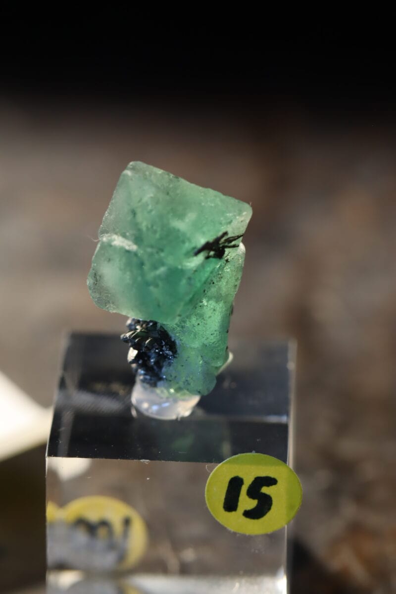 Fluorite Milpo15