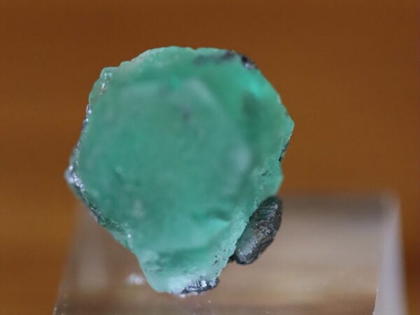 fluorite milpo21