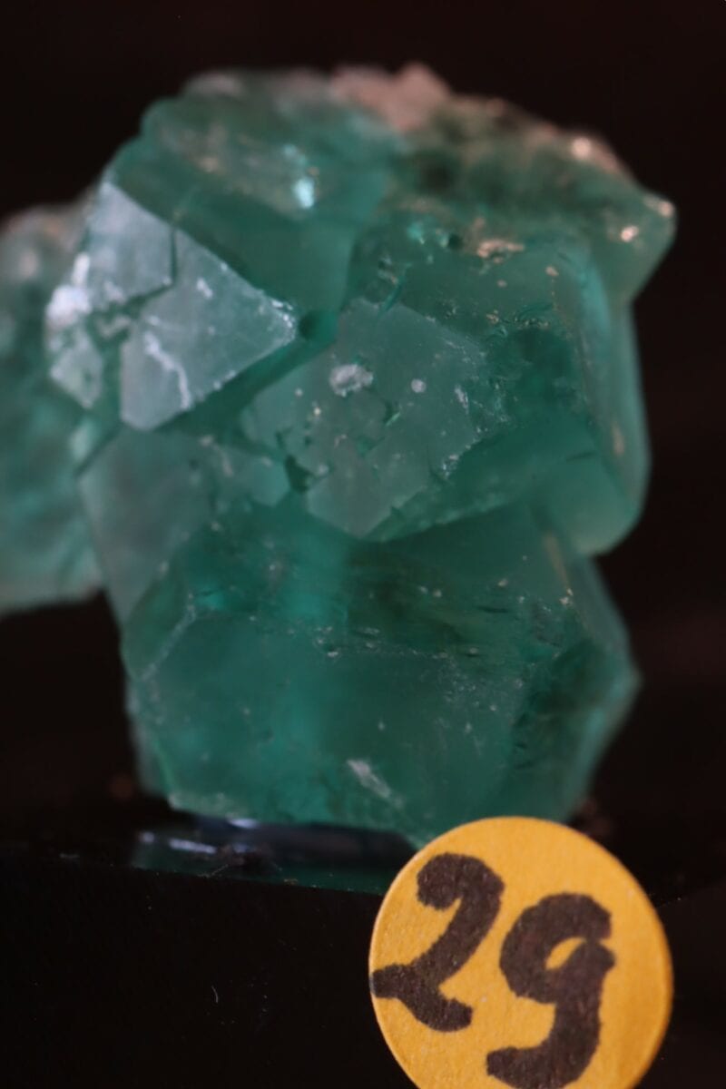 Fluorite Milpo29