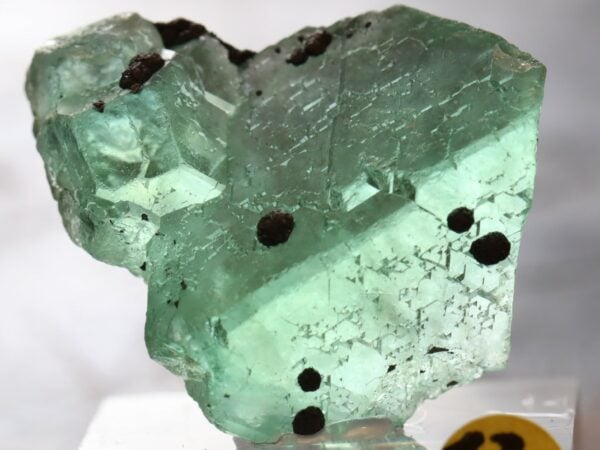 Fluorite Milpo53