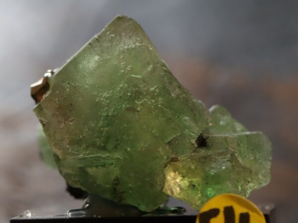 Fluorite Milpo54