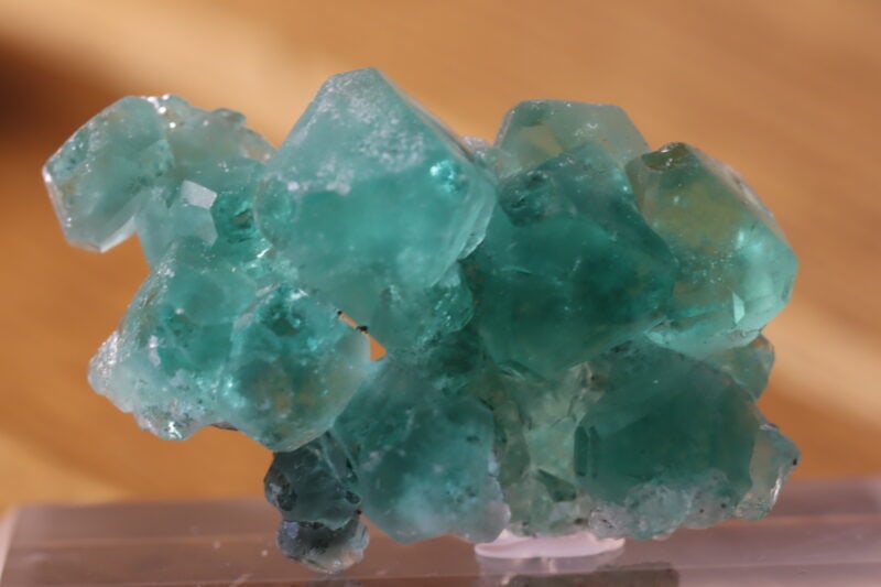 Fluorite Milpo66