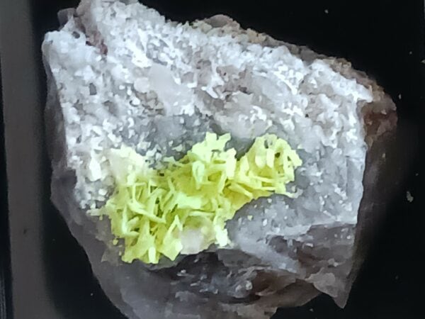 Autunite 1