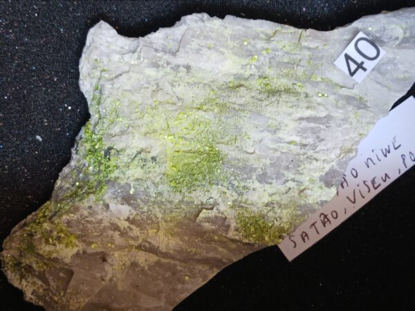 Autunite 4