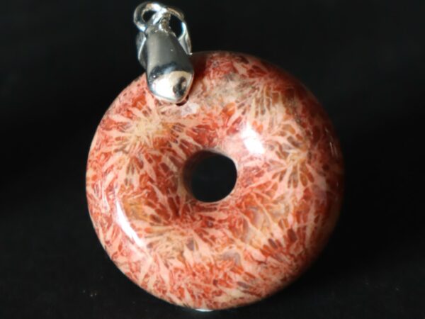 Corail fossilisé donut rouge