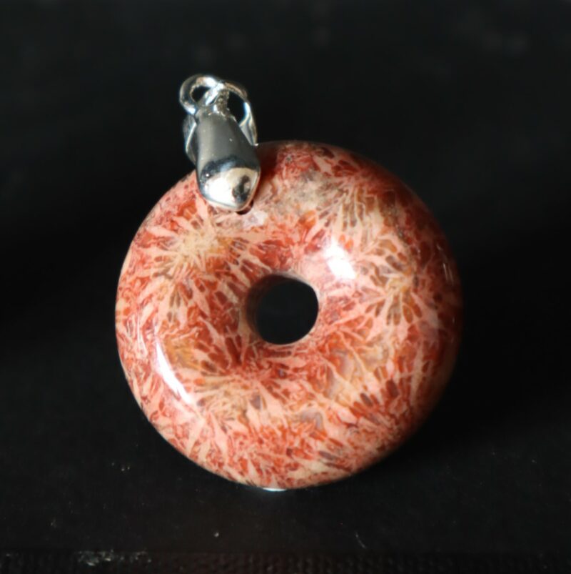 Corail fossilisé donut rouge