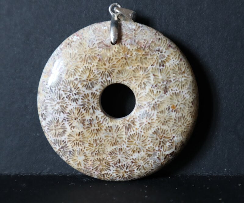 Corail fossilisé donut