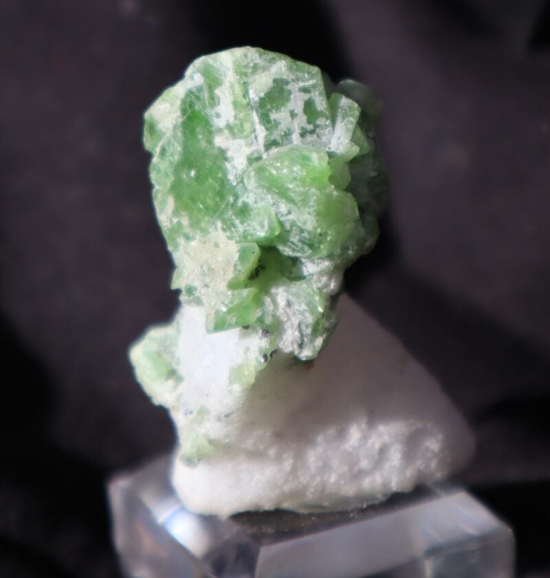 Pargasite Viêtnam