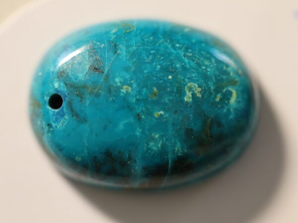 Chrysocolle ovale1