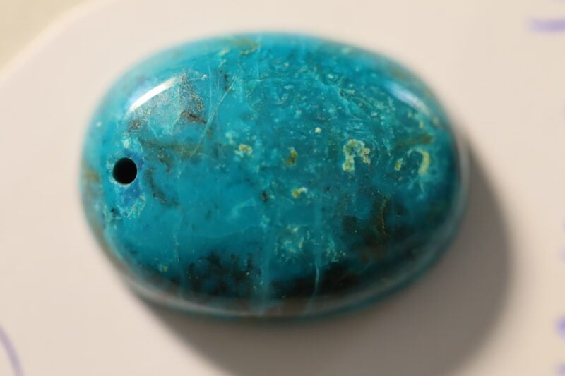 Chrysocolle ovale1