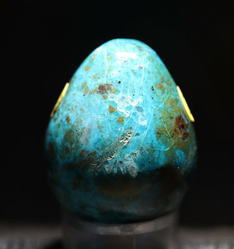 oeuf chrysocolle1