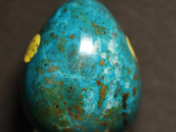 oeuf chrysocolle1