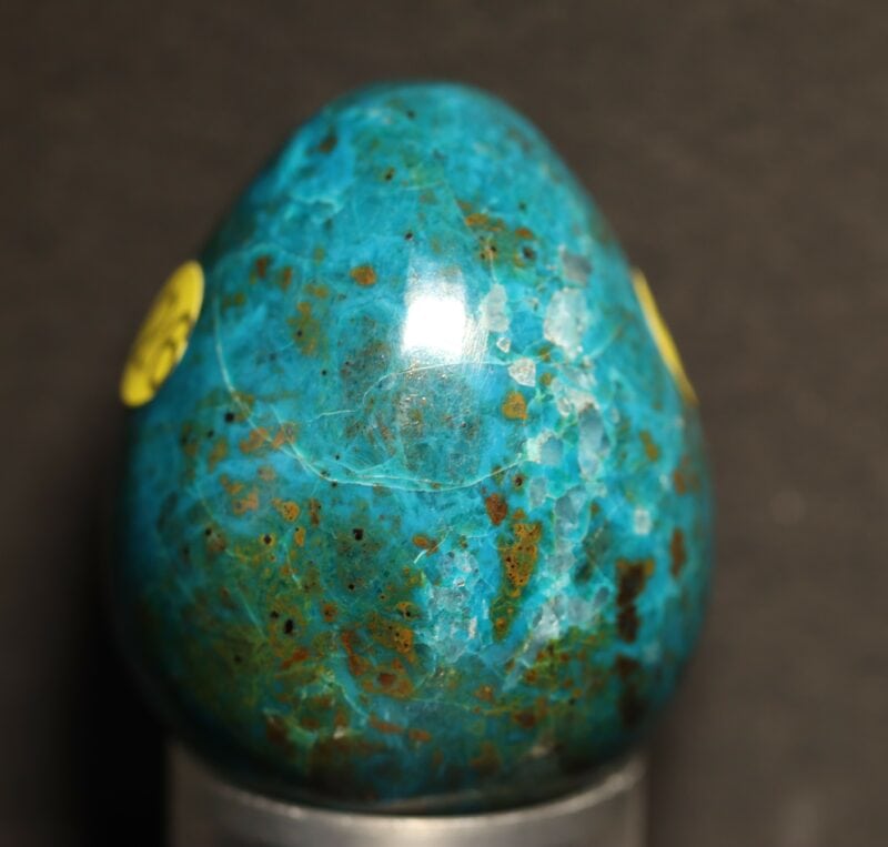 oeuf chrysocolle1